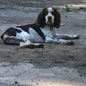 Meet your Posher, Lisa